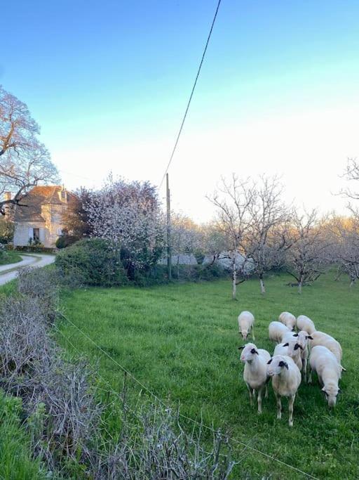 La Grangette De Paunac Cazillac Esterno foto